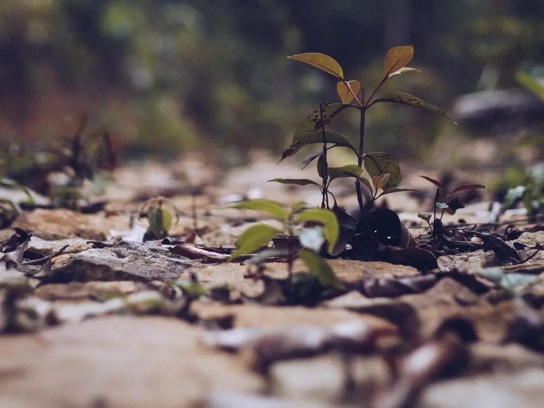 640 (8).jpg 640 (8).jpg