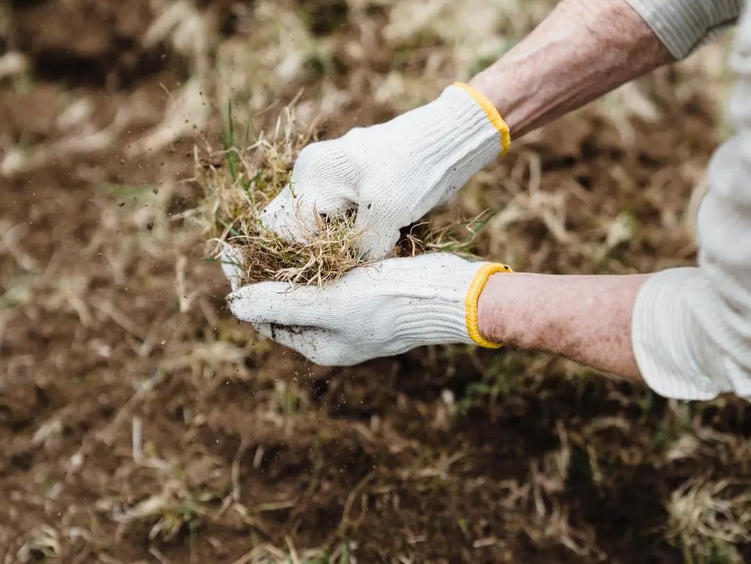 640 (6).jpg 640 (6).jpg