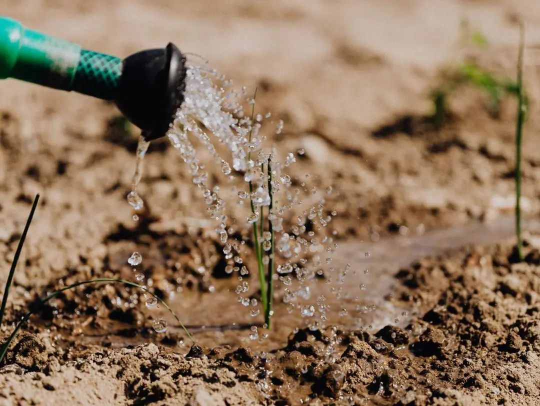 640 (5).jpg 640 (5).jpg